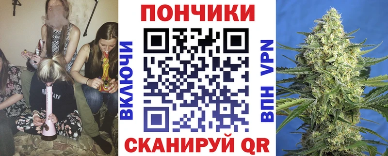 Шишки марихуана конопля  Купить закладки  Грязовец 